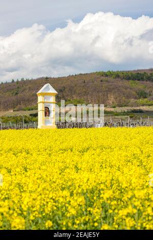 Gli dèi la tortura nei pressi di Retz, Austria Foto Stock