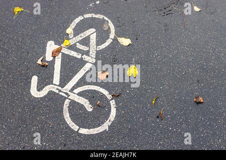 superficie umida della pista ciclabile in città sotto la pioggia Foto Stock