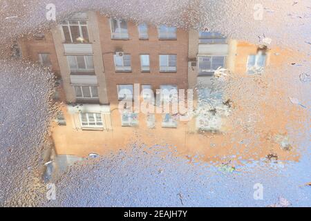 coccolati con il riflesso di un alto edificio urbano Foto Stock