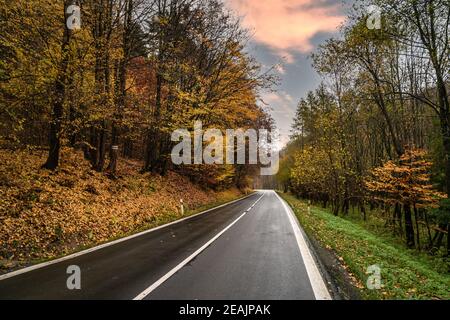 strada per auto nella foresta d'autunno Foto Stock