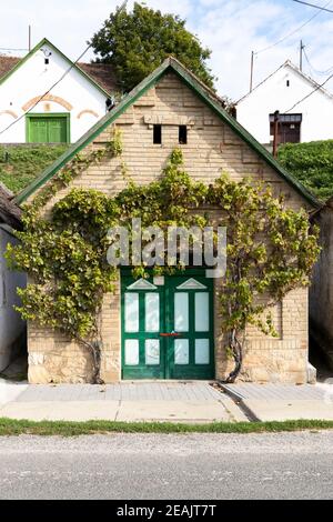 Cantine vinicole a Villanykovesd, Villany, Ungheria Foto Stock