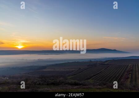 Tramonto su Palava, Moravia meridionale, Repubblica Ceca Foto Stock