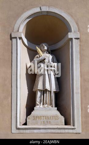 San Fortunato sulla facciata di San Nicola nella Cattedrale di Ljubljana, Slovenia Foto Stock