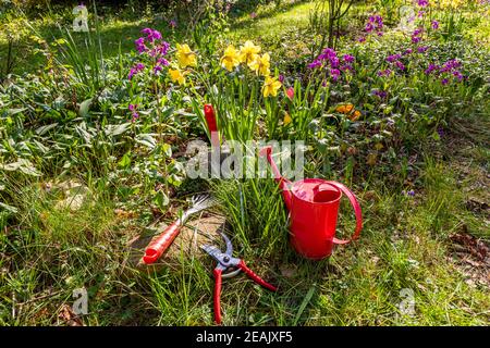 Giardinaggio in giardino in primavera Foto Stock