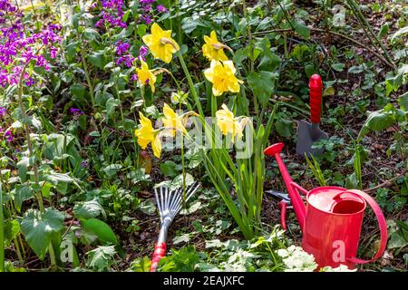 Giardinaggio in un giardino in primavera Foto Stock