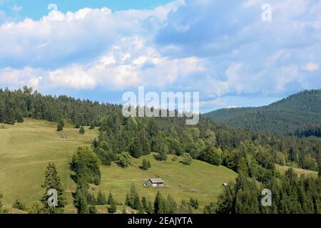 Montagne con foresta e casa in una giornata nuvolosa Foto Stock