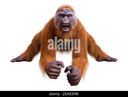 Orangutan 3D rendering su bianco Foto Stock