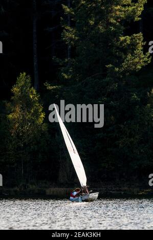 Una ragazza adolescente che guida un piccolo gommone a vela su Schluchsee nella Foresta Nera, Baden-Württemberg, Germania. Settembre. Foto Stock