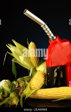 Carburante a base di mais Foto Stock