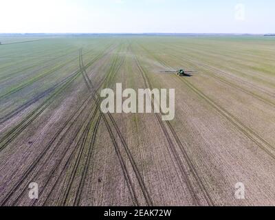 Trattore con sistema incernierato di irrorazione di pesticidi. Concimazione con un trattore, sotto forma di aerosol, sul campo del grano invernale. Foto Stock