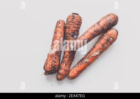 Carote di carote con funghi su sfondo bianco. Vista dall'alto Foto Stock