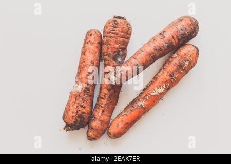 Carote di carote con funghi su sfondo bianco. Vista dall'alto Foto Stock