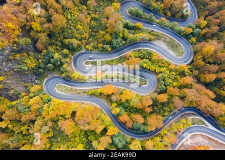 Vista aerea della strada in autunno bello e mite foresta al tramonto. Foto Stock