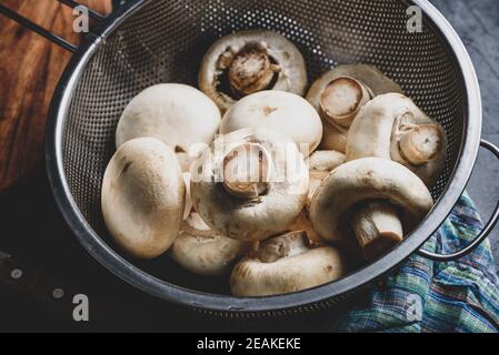 Funghi a bottone in metallo colander Foto Stock