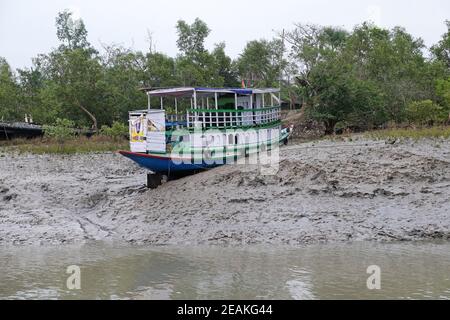 Barca su rive di fango, Mangrove foresta, Sundarbans, Gange delta, Bengala Occidentale, India Foto Stock