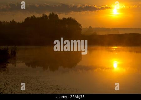 Lago al tramonto, erba costiera e alberi. Luce del tramonto sopra l'acqua. Foto Stock