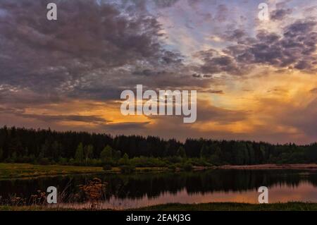 Lago al tramonto, erba costiera e alberi. Luce del tramonto sopra l'acqua. Foto Stock