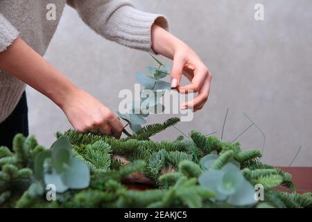 La ragazza tiene un ramo di eucalipto nelle sue mani e fa una corona per il nuovo anno o Natale. Un accessorio tradizionale. Foto senza volti. Foto Stock