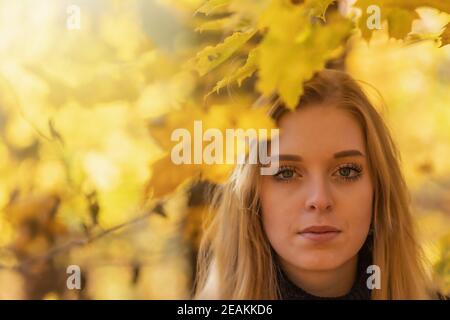 Ritratto di bella ragazza sotto foglie d'acero closeup. Foto Stock