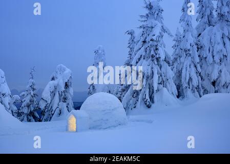 Paesaggio invernale con neve igloo Eskimo in abete di montagna foresta Foto Stock