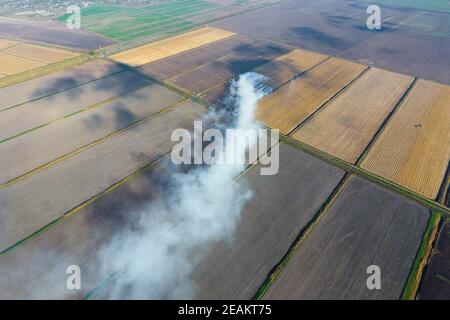 La combustione di paglia di riso nei campi. Fumo dalla combustione della paglia di riso nei controlli. Fuoco sul campo Foto Stock