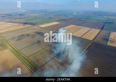 La combustione di paglia di riso nei campi. Fumo dalla combustione della paglia di riso nei controlli. Fuoco sul campo Foto Stock