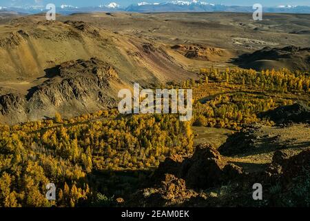 I monti altai. Paesaggio naturale sui monti Altai e nelle gole tra le montagne. Foto Stock