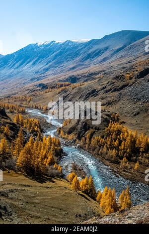 I monti altai. Paesaggio naturale sui monti Altai e nelle gole tra le montagne. Foto Stock