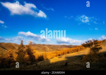 I monti altai. Paesaggio naturale sui monti Altai e nelle gole tra le montagne. Foto Stock