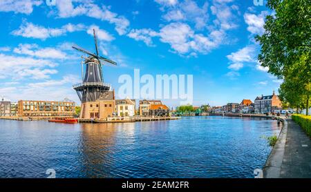 mulino di Adriaan a Haarlem, Paesi Bassi Foto Stock