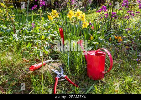 Giardinaggio in giardino in primavera Foto Stock