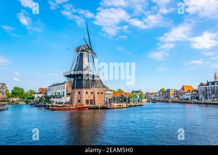 mulino di Adriaan a Haarlem, Paesi Bassi Foto Stock