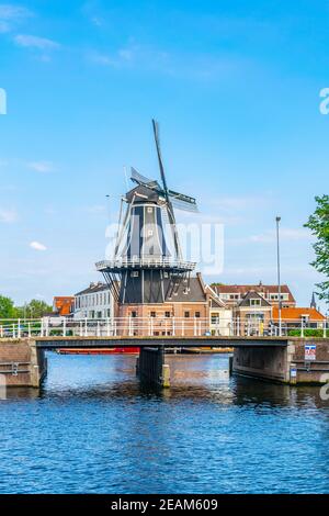 mulino di Adriaan a Haarlem, Paesi Bassi Foto Stock