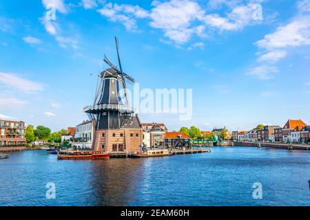 mulino di Adriaan a Haarlem, Paesi Bassi Foto Stock