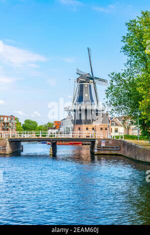 mulino di Adriaan a Haarlem, Paesi Bassi Foto Stock