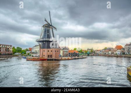 mulino di Adriaan a Haarlem, Paesi Bassi Foto Stock