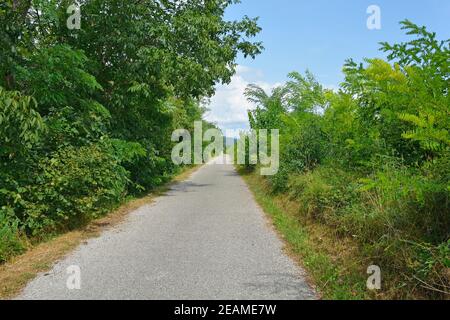 Una pista ciclabile non marcata nella rurale Friuli-Venezia Giulia, nel nord-est dell'Italia, vicino a Cividale del Friuli Foto Stock