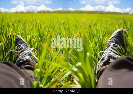 Piedi erba. Piedi in sneakers in erba verde. Tempo di relax. Momento di riposo. Stile di vita sano. Erba fresca e fiorente in prato. Messa a fuoco selettiva Foto Stock