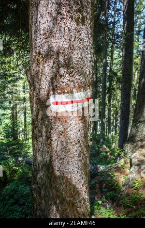 Contrassegno bianco e rosso su un tronco di albero, pralognan, alpi francesi. Foto Stock