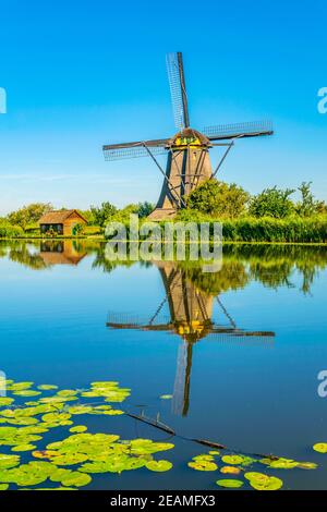 I mulini a vento di Kinderdijk si sono visti durante la soleggiata giornata estiva, Rotterdam, Paesi Bassi Foto Stock