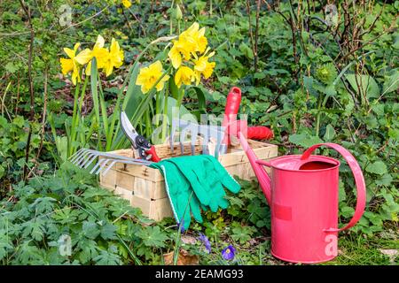 Giardinaggio con rastrello, forbici, lattina e guanti in un giardino in primavera Foto Stock