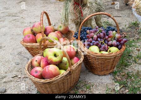 Cestini di mele, pere e uva. Cestini di frutta Foto Stock