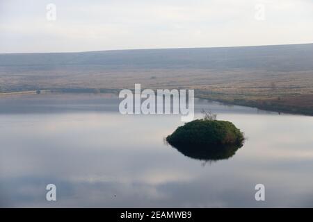 L'albero di Twiggy si allea da un'isola in eccesso in redmires serbatoio Foto Stock