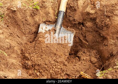 Scavando un buco da pala in un terreno di creta per piantando un albero giovane Foto Stock