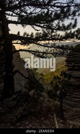 Montagne e foreste di Crimea. Alberi di conifere e decidui sulle colline di montagne e rocce Foto Stock
