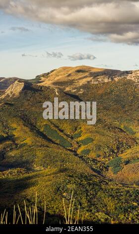 Montagne e foreste di Crimea. Alberi di conifere e decidui sulle colline di montagne e rocce Foto Stock
