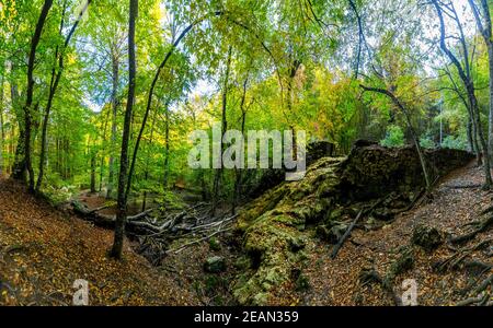 Montagne e foreste di Crimea. Alberi di conifere e decidui sulle colline di montagne e rocce Foto Stock