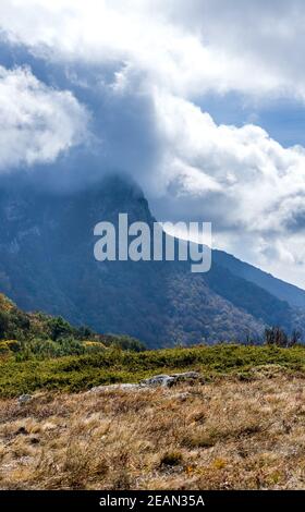 Montagne e foreste di Crimea. Alberi di conifere e decidui sulle colline di montagne e rocce Foto Stock