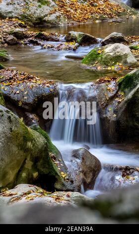 Montagna piccolo fiume in foresta con rapide e cascate. Un torrente forestale. Foto Stock