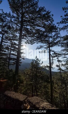 Montagne e foreste di Crimea. Alberi di conifere e decidui sulle colline di montagne e rocce Foto Stock
